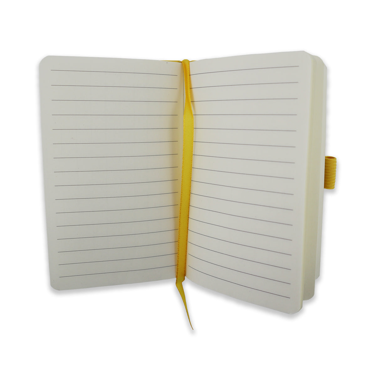 Age of Sin Notebook