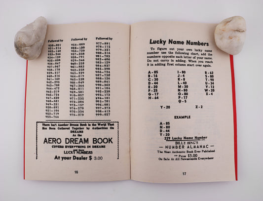 Billy Bing's Red Book of Relative Numbers