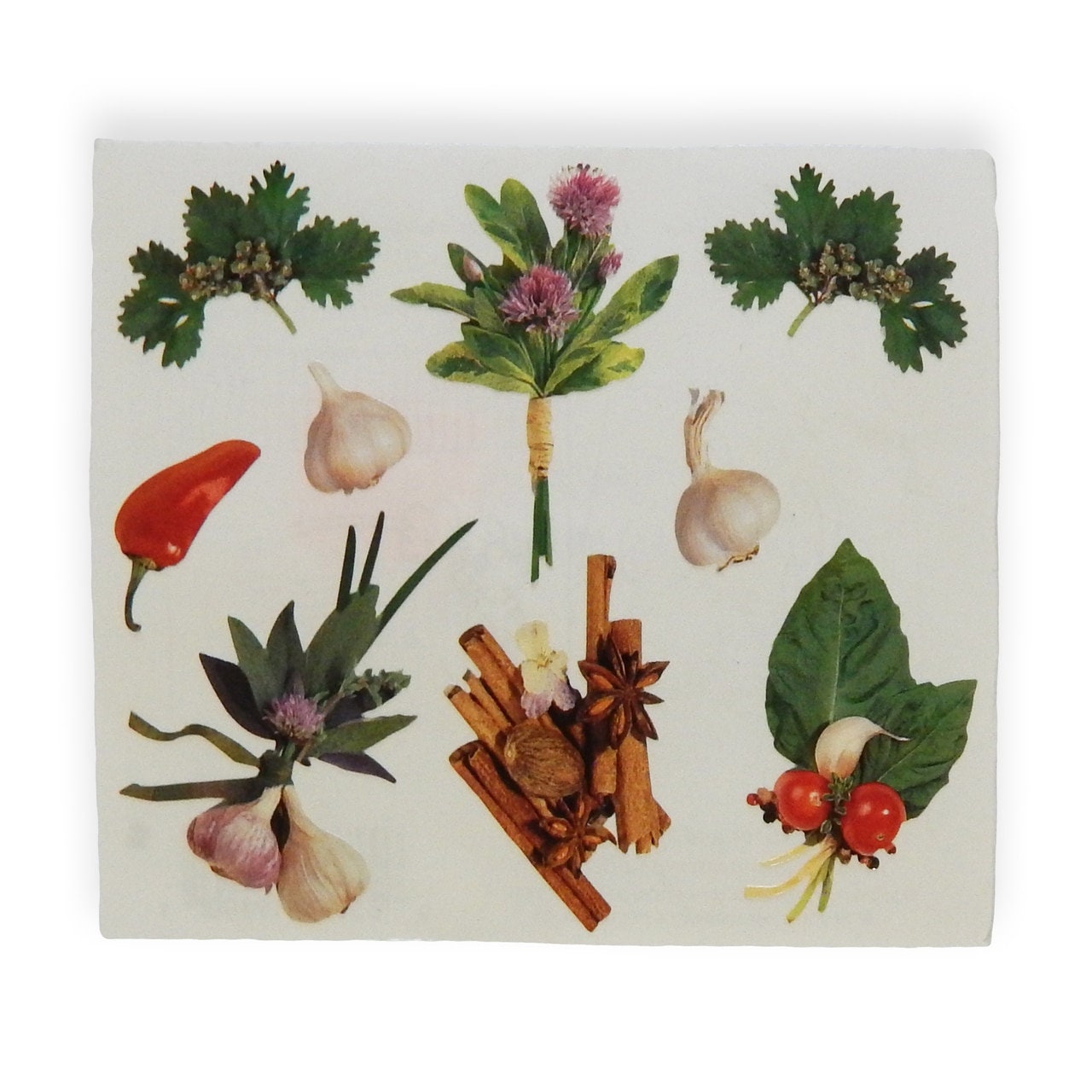 Herbs and Spices Vintage Sticker Sheet