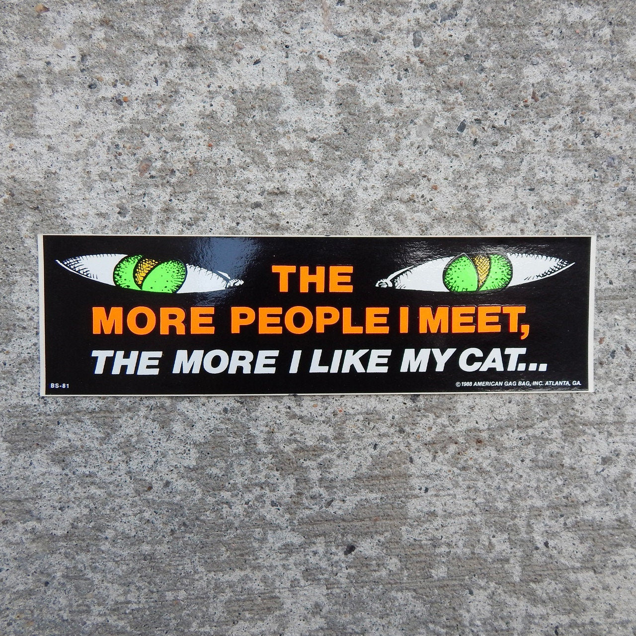 Vintage I Like My Cat Bumper Sticker