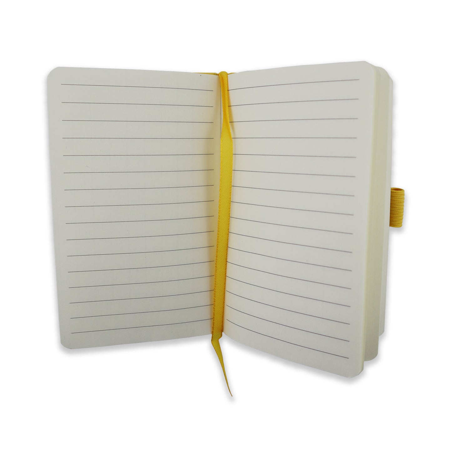 Age of Sin Notebook