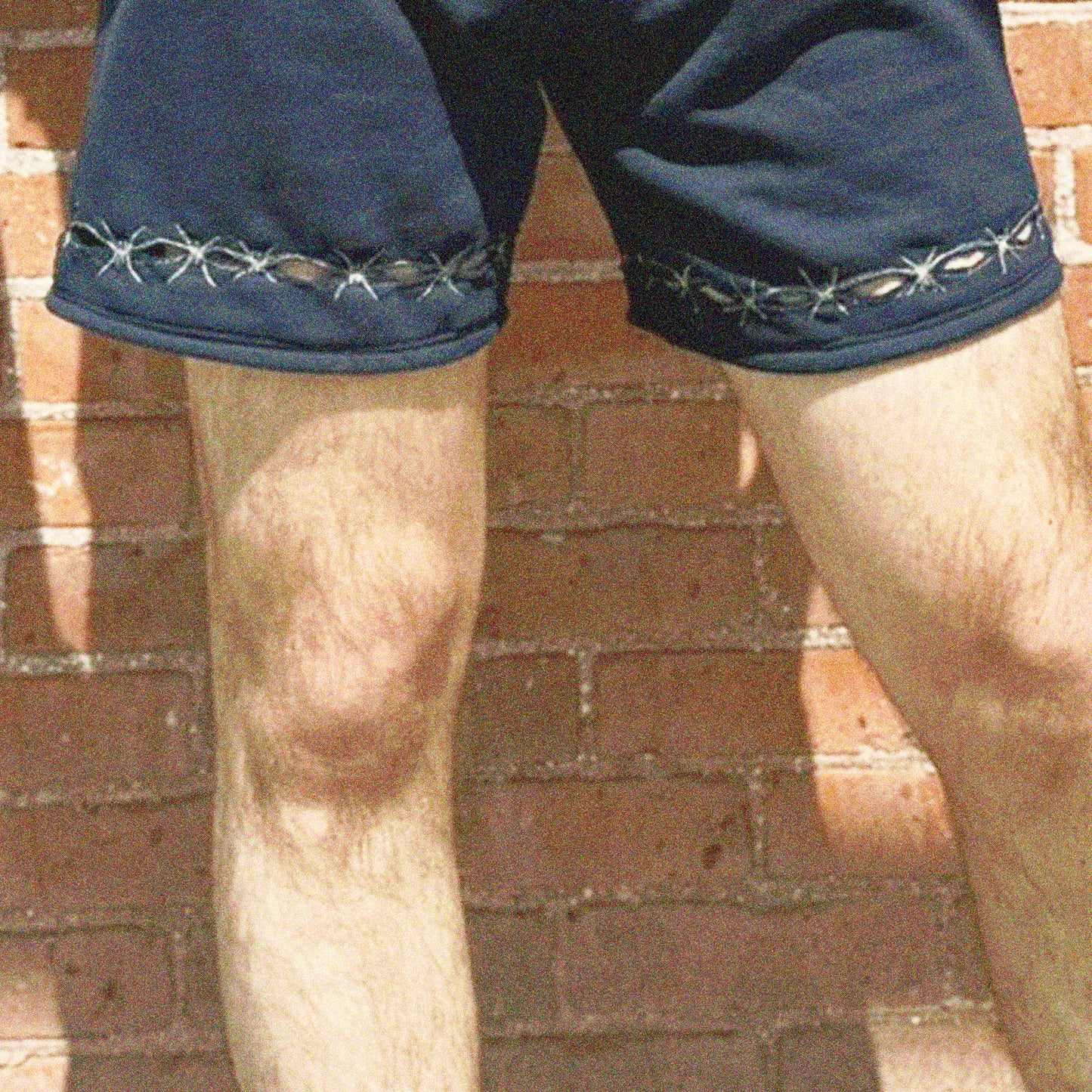 Barbed Wire Peek-A-Boo Shorts