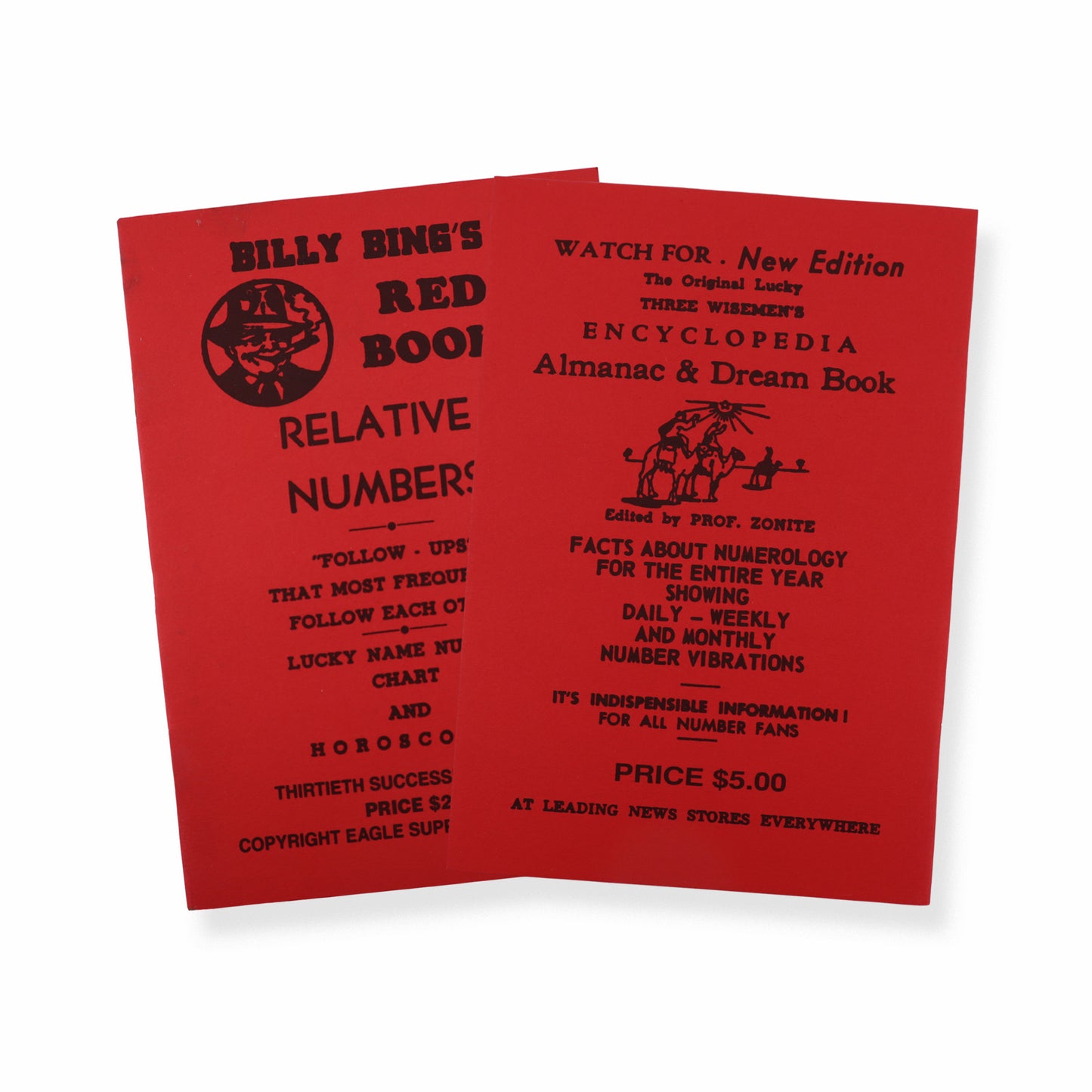 Billy Bing's Red Book of Relative Numbers