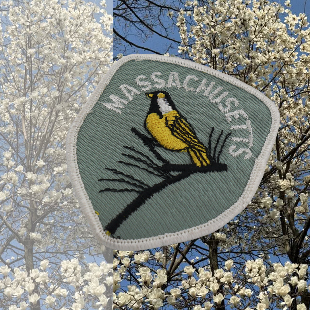 Massachusetts State Bird Vintage Patch