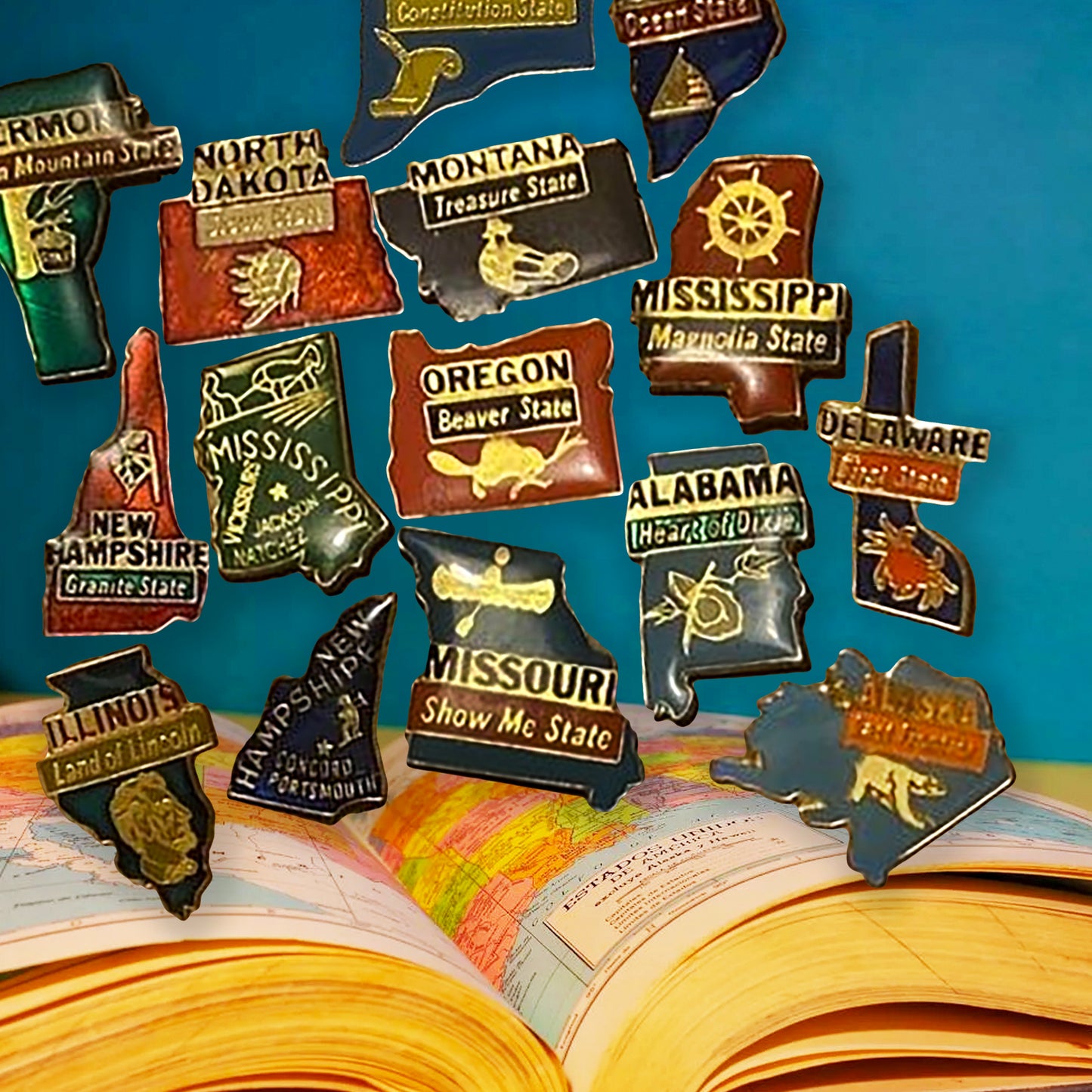 50 Nifty States Vintage Pin