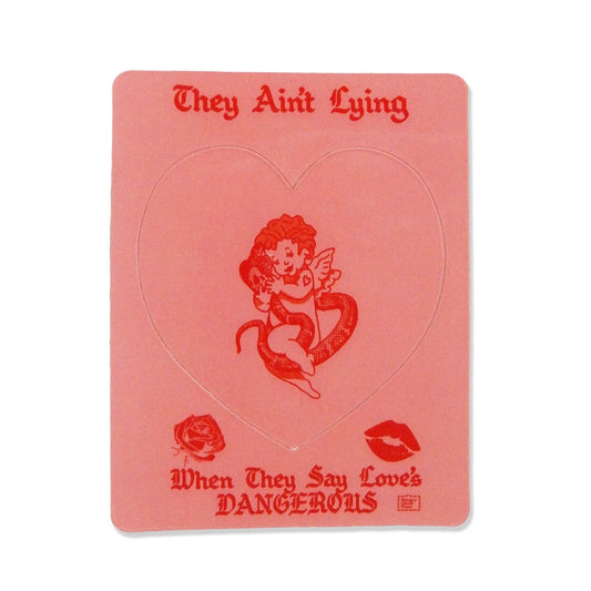 Love is Dangerous Magnet