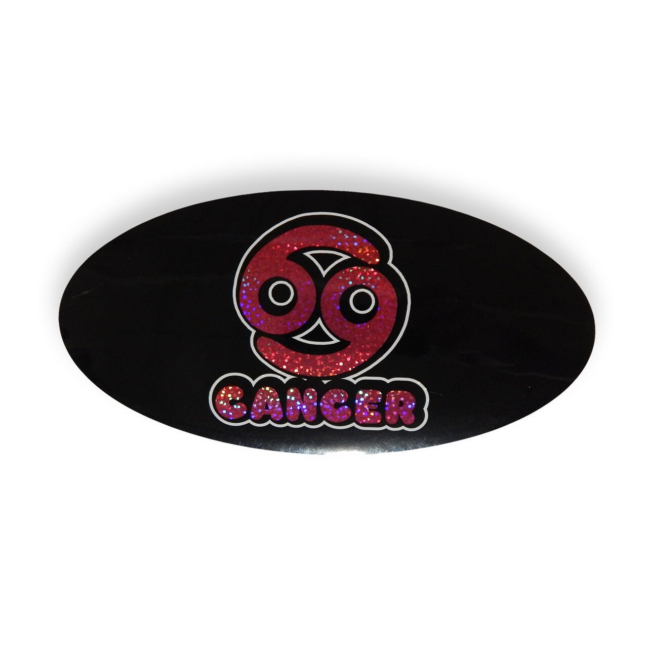 The Worst of the 90's Vintage Bumper Stickers 6"