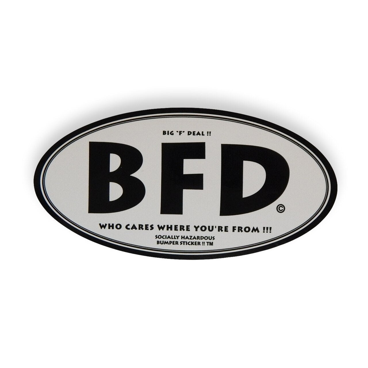 The Worst of the 90's Vintage Bumper Stickers 6"